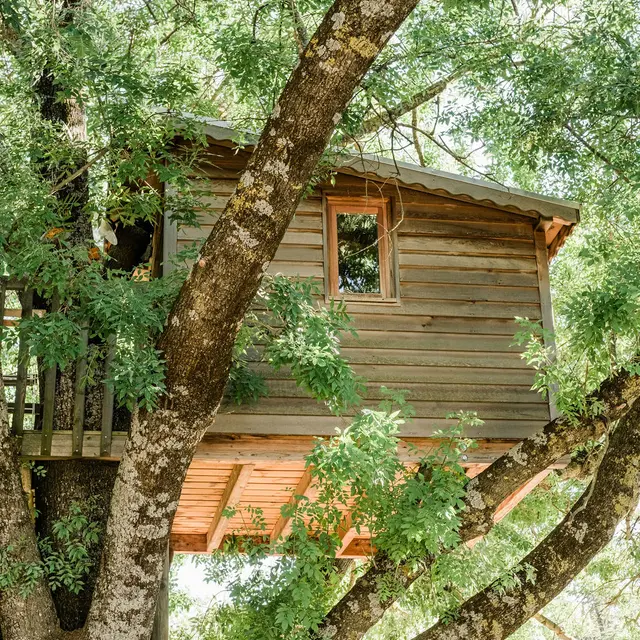 La cabane perchée