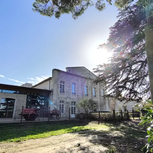 Festival à Morières de rire_Morières-lès-Avignon