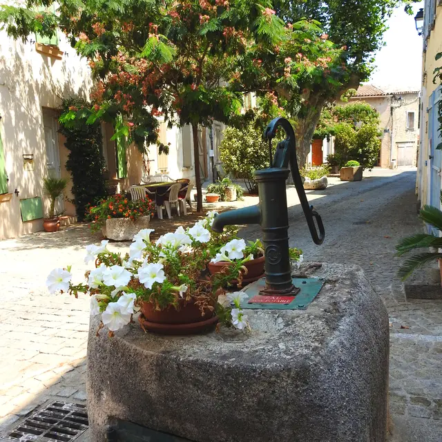 Fontaine Saint Martin