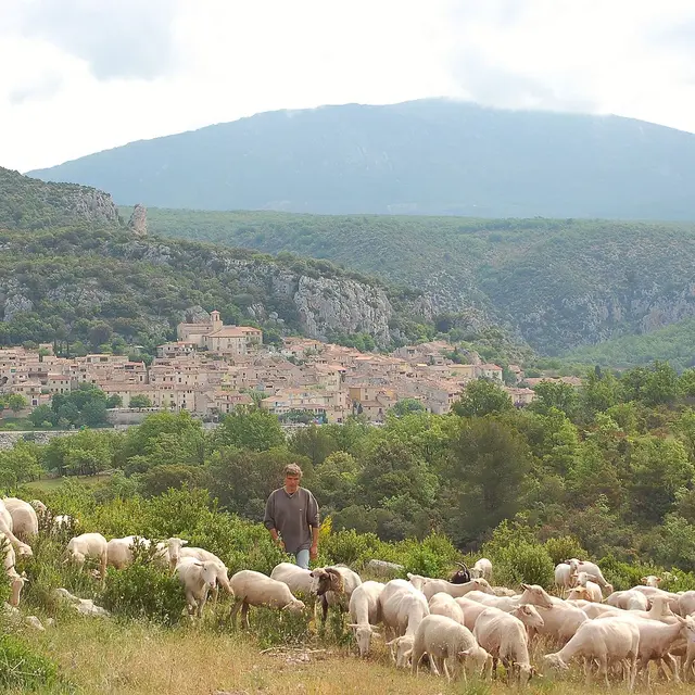 GAEC Les pierres qui roulent