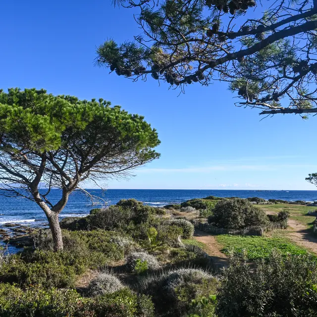 Pointe des Sardinaux 1