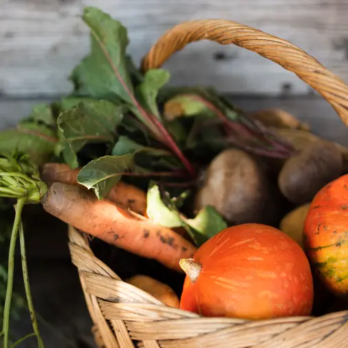 Tournée des neiges : découvrir les filières laitières, viandes, fruits & légumes_Les Orres