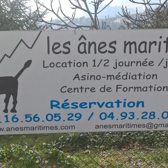 Les ânes maritimes