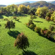 Les vergers de la Javie