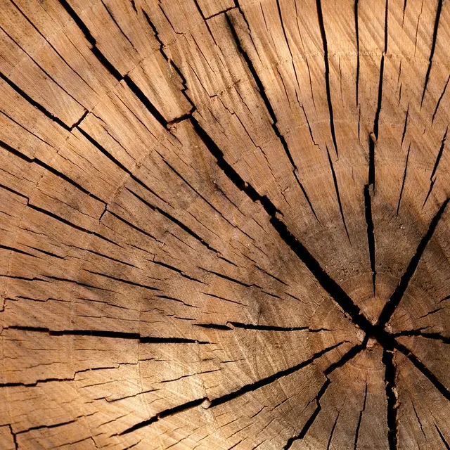 Fabrice Arnaud - Bois de chauffage_Corrençon-en-Vercors