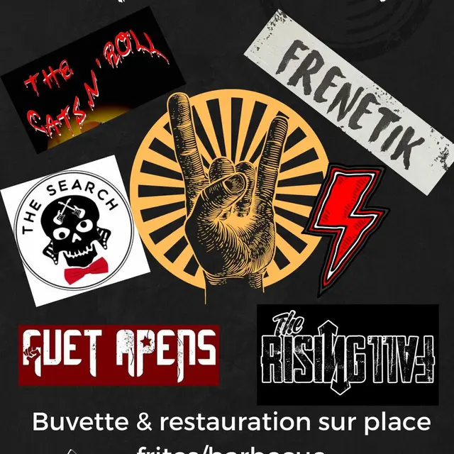 Concert Rock'n'Roll
