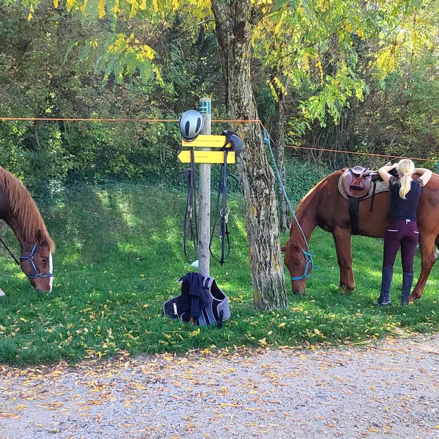 Chevauchée jusqu'au Château de Mison