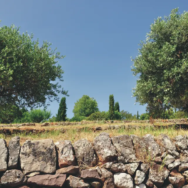 Balade-conférence : Cultures irriguées - cultures au sec_Le Beausset