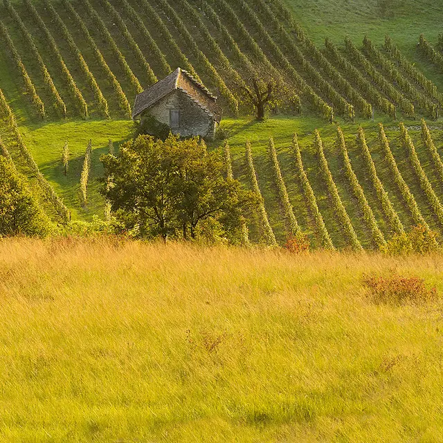 Excursion : Du vignoble de Cerdon à la Vallée de l'Ain_Cerdon