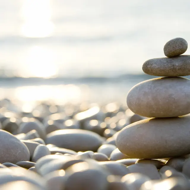 Salon du Bien-Être_Évian-les-Bains