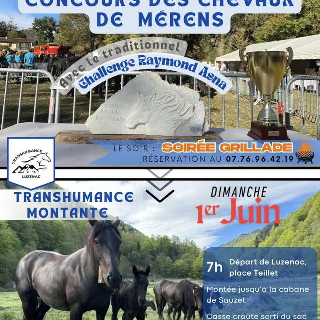 Transhumance montante des chevaux de Mérens_Luzenac