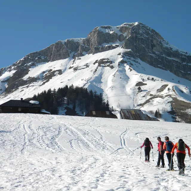 Chalets de la Fullie