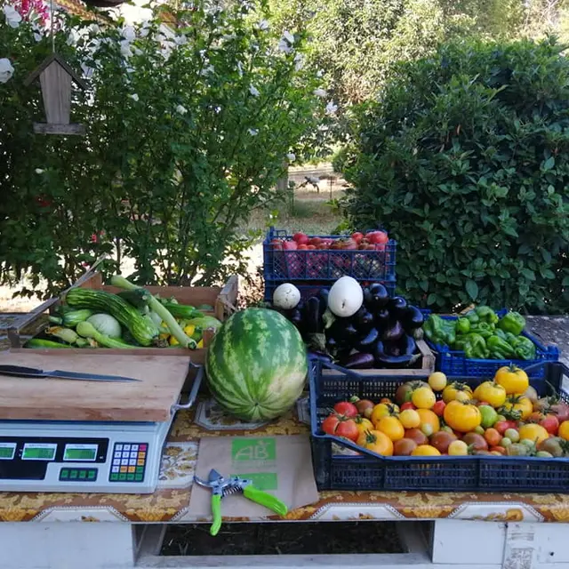 Le potager des Fils du Vent