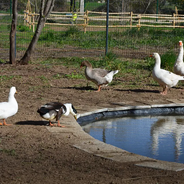 Parc naturel du Vivier - Garéoult