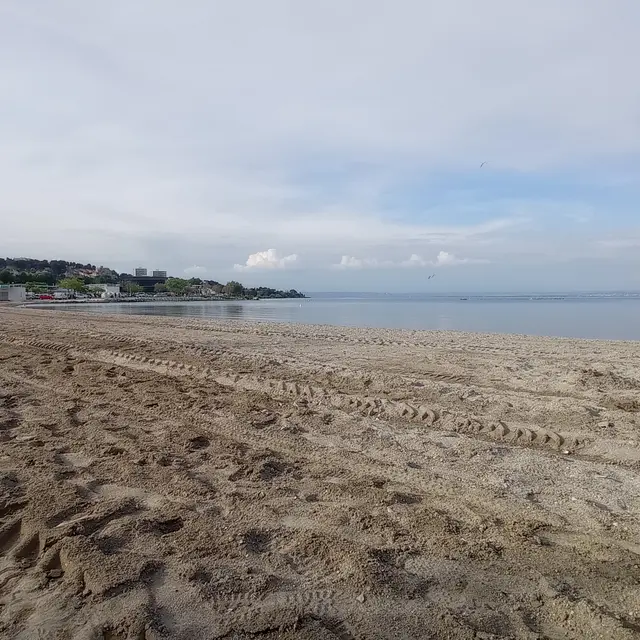 Initiation au longe côte