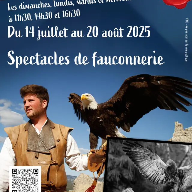 Lordat - Spectacles de fauconnerie_Lordat