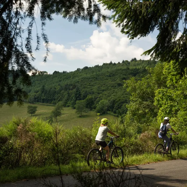 Balade VTT au cœur de la forêt des Grands Murcins