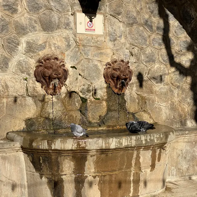 La Fontaine aux Lions_Ramatuelle