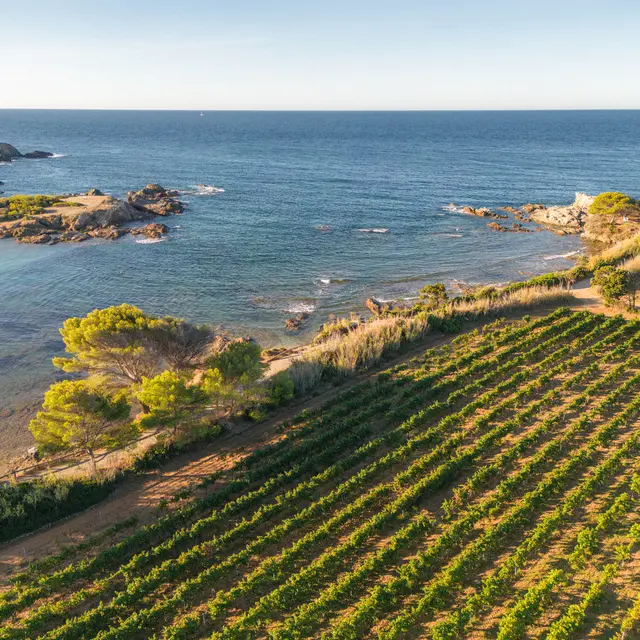 Le Domaine Ile des Embiez