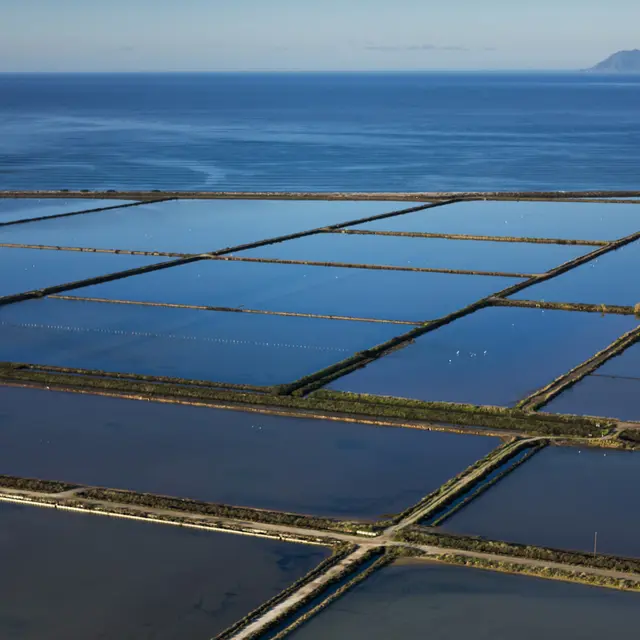 Le Salin des Pesquiers_Hyères