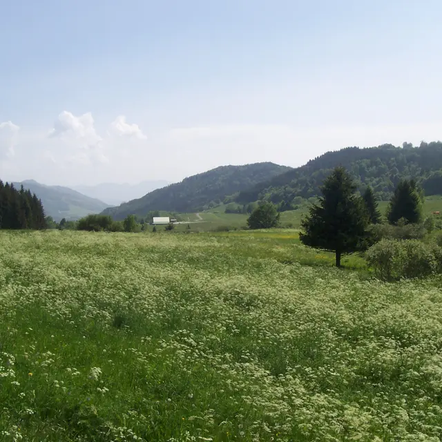 Plateau des Moises