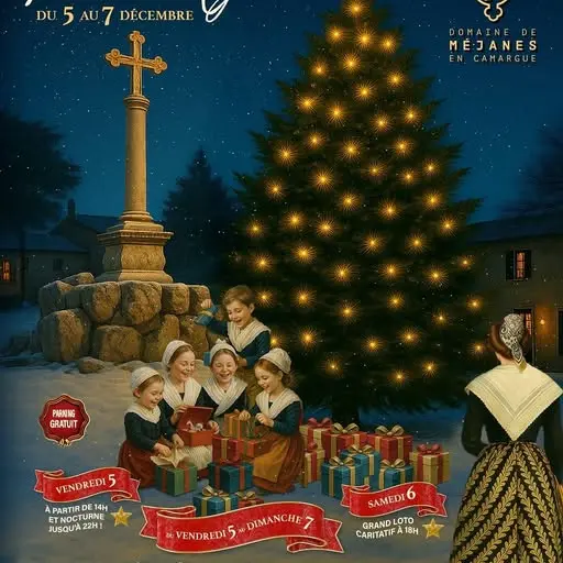 Noël à Méjanes_Arles