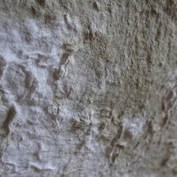 Stage pâte à papier_Montauban