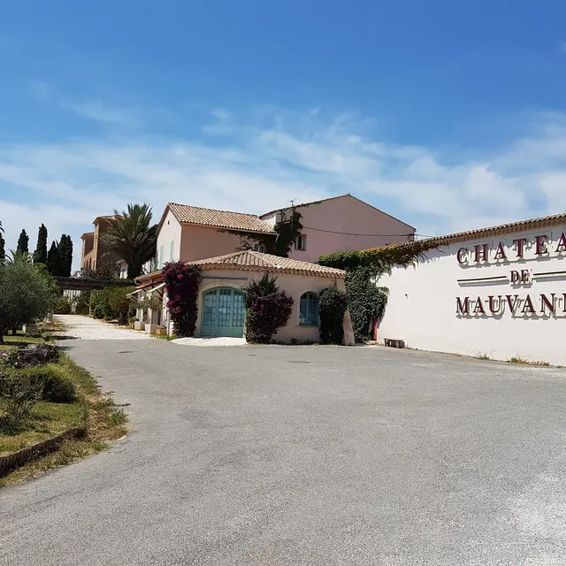 Chateau de Mauvanne Hyères vin vignoble