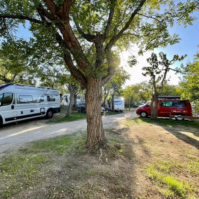 Emplacements de camping