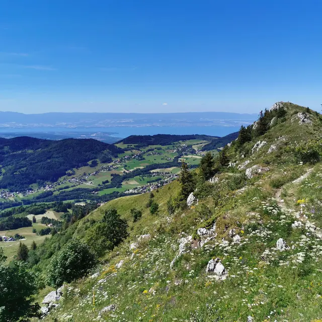 Randonnée Les crêtes d'Hirmentaz depuis le Darandet_Habère-Poche