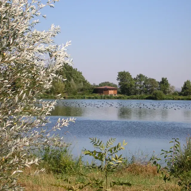 Maison des étangs du Forez / Réserve de Biterne_Arthun