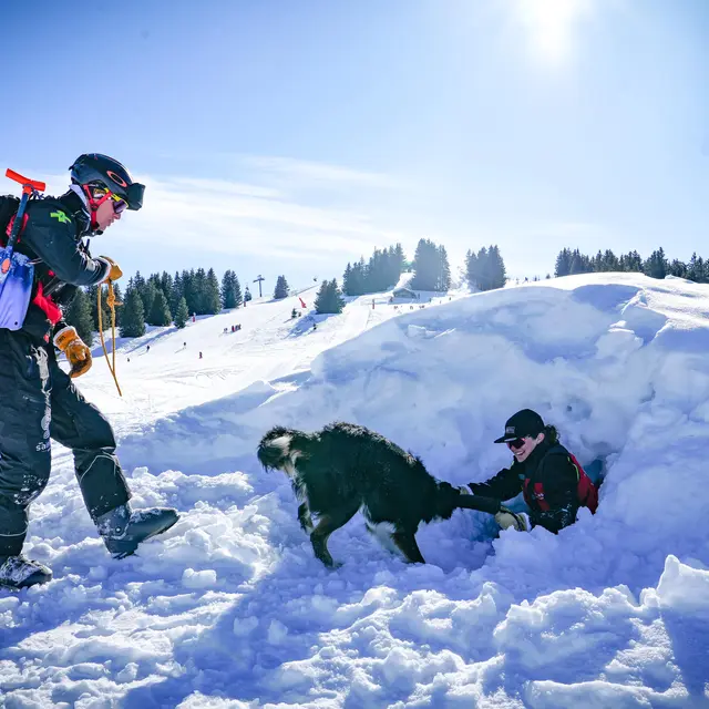 Découverte du secours en montagne avec un chien d'avalanche_Les Saisies