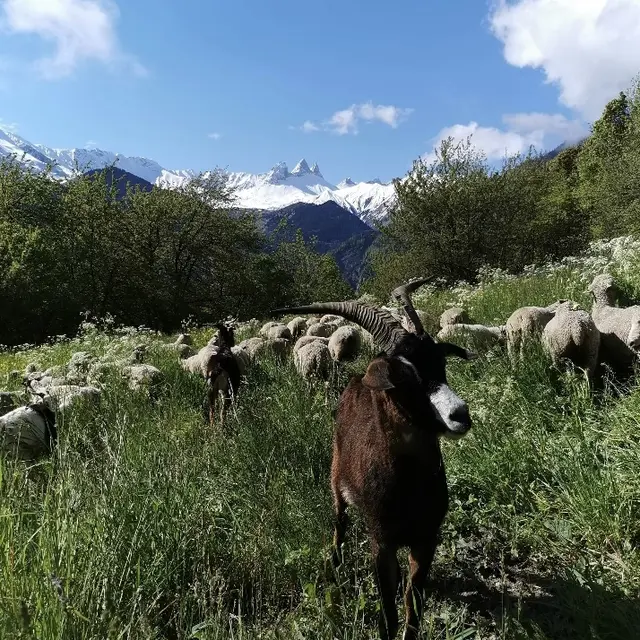 La Bergerie de l'Etoile