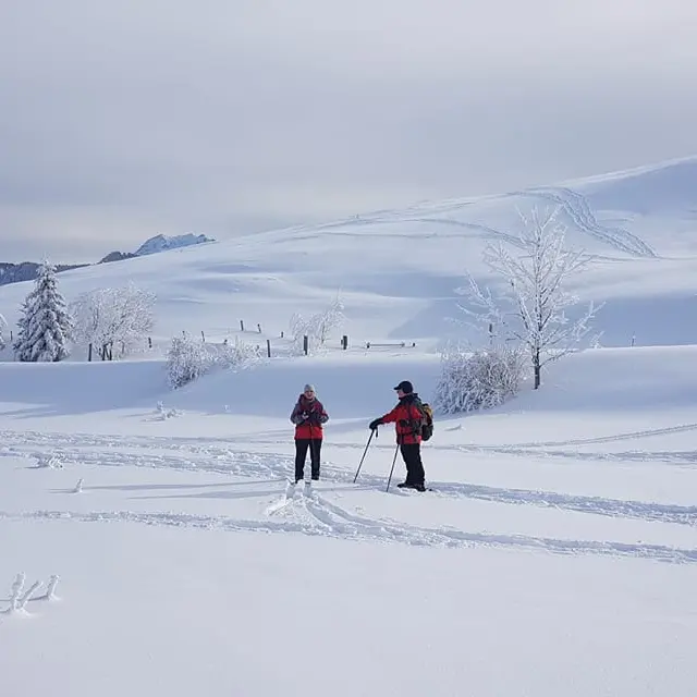 Raquettes Plaine Joux