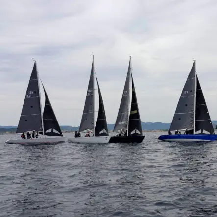 Coupe de l'Hippocampe