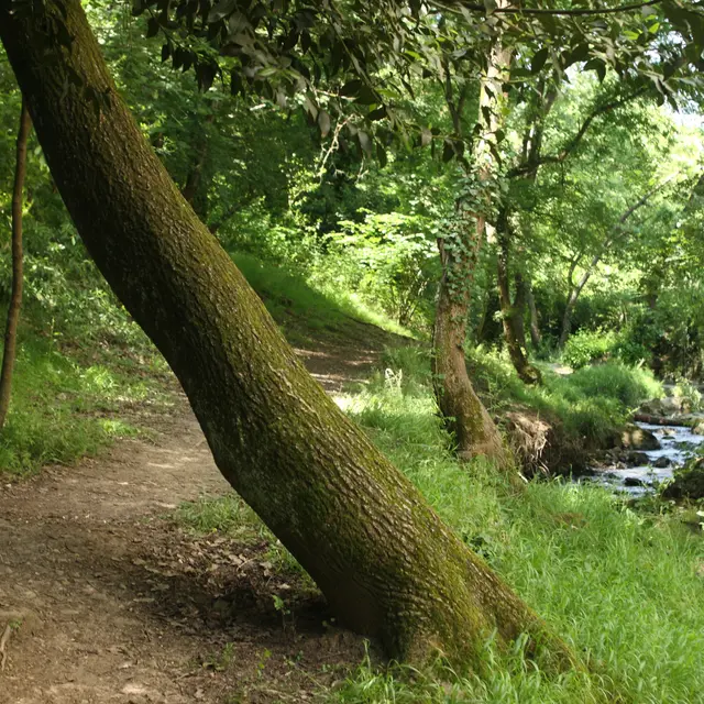 Parc départemental de la Brague