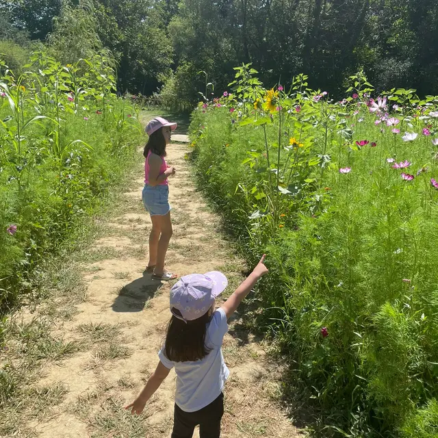 Visite du Jardin Extraordinaire et découverte des insectes qui le peuplent_Lieurac