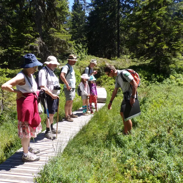 Visite guidée sentier flore