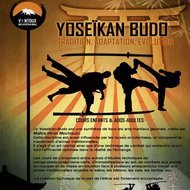 Cours de Yoseïkan Budo_Caromb