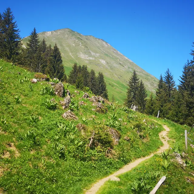 Itinéraire pédestre - Le Môle depuis les Granges_Marignier
