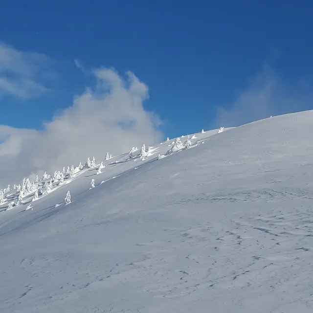 Ski de randonnée