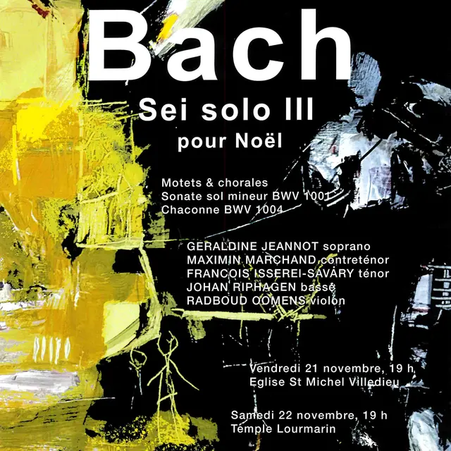 Concert 'Bach' sei solo III pour Noël_Villedieu