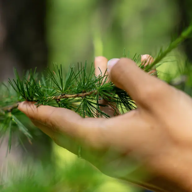 Pure Flow - Festival Sport & Bien-Être en Montagne_Les Orres