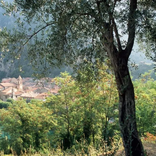 Café-brocante le bon petit coin