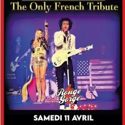 Prince – The Only French Tribute_Avignon
