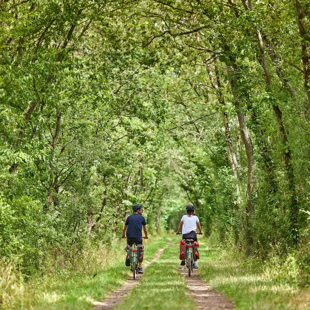 L'Authion à vélo