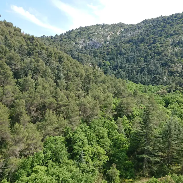 Randonnée en Provence