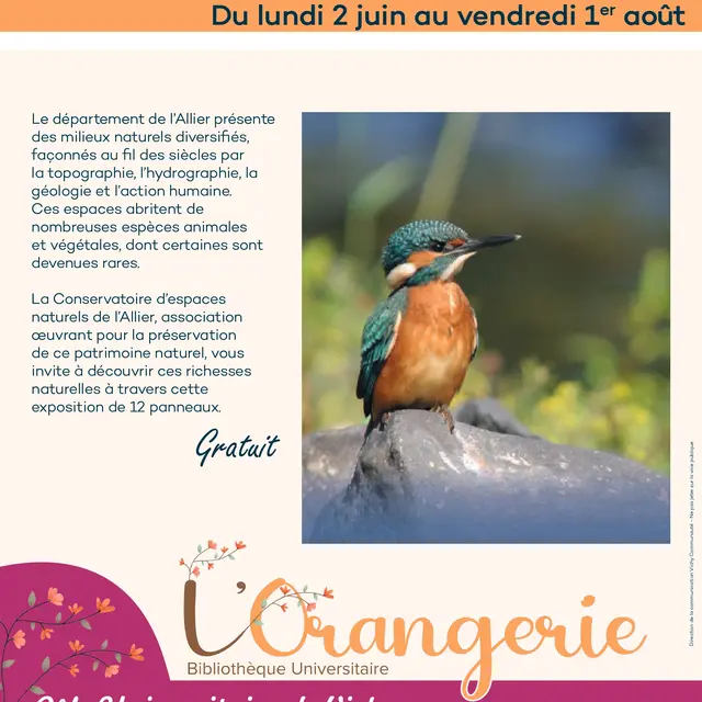Exposition 