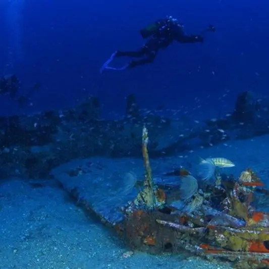 Le Mustang P51 à Giens
