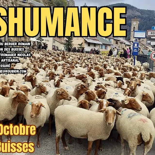 Transhumance de Roubion_Roubion